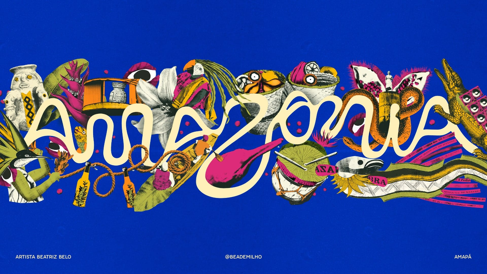 Image 4: Amazonia logo paired with an illustration of regional flora and fauna in a warm earth-tone palette.