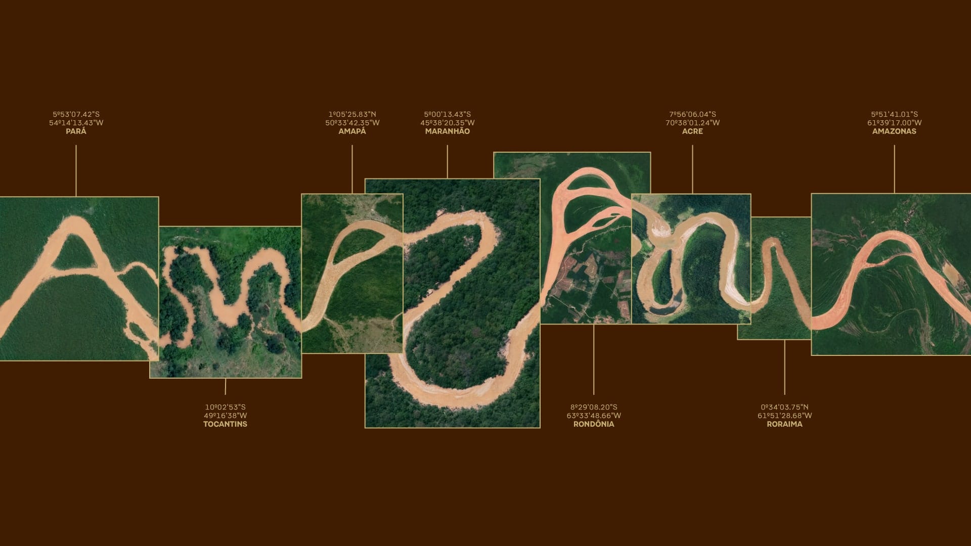 Image 2: Variation of the Amazonia logo displayed on a vibrant forest green background.