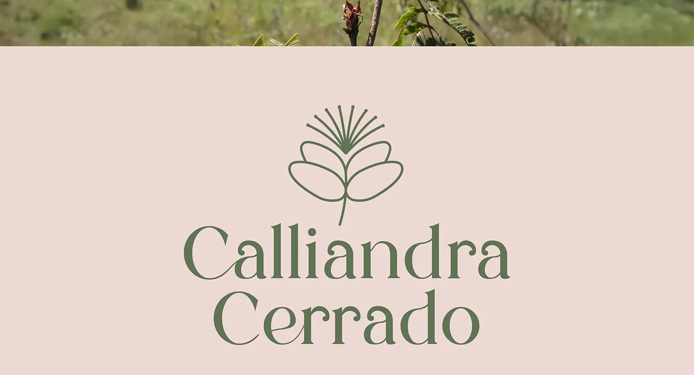 Image 3: Branding color palette with sage green and terracotta used in identity system