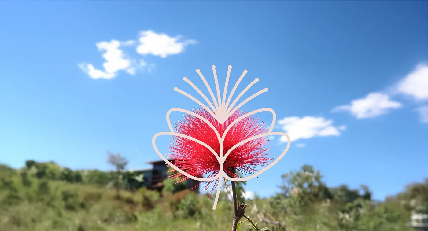 Image 2: Logo variations and branding system applications for Calliandra Cerrado identity