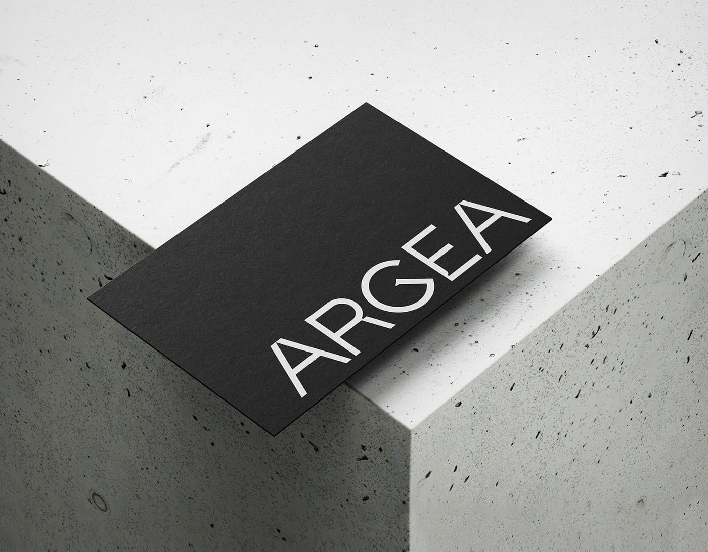 Image 5: Argea brand identity design ring-bound brand guidelines book with chrome hardware