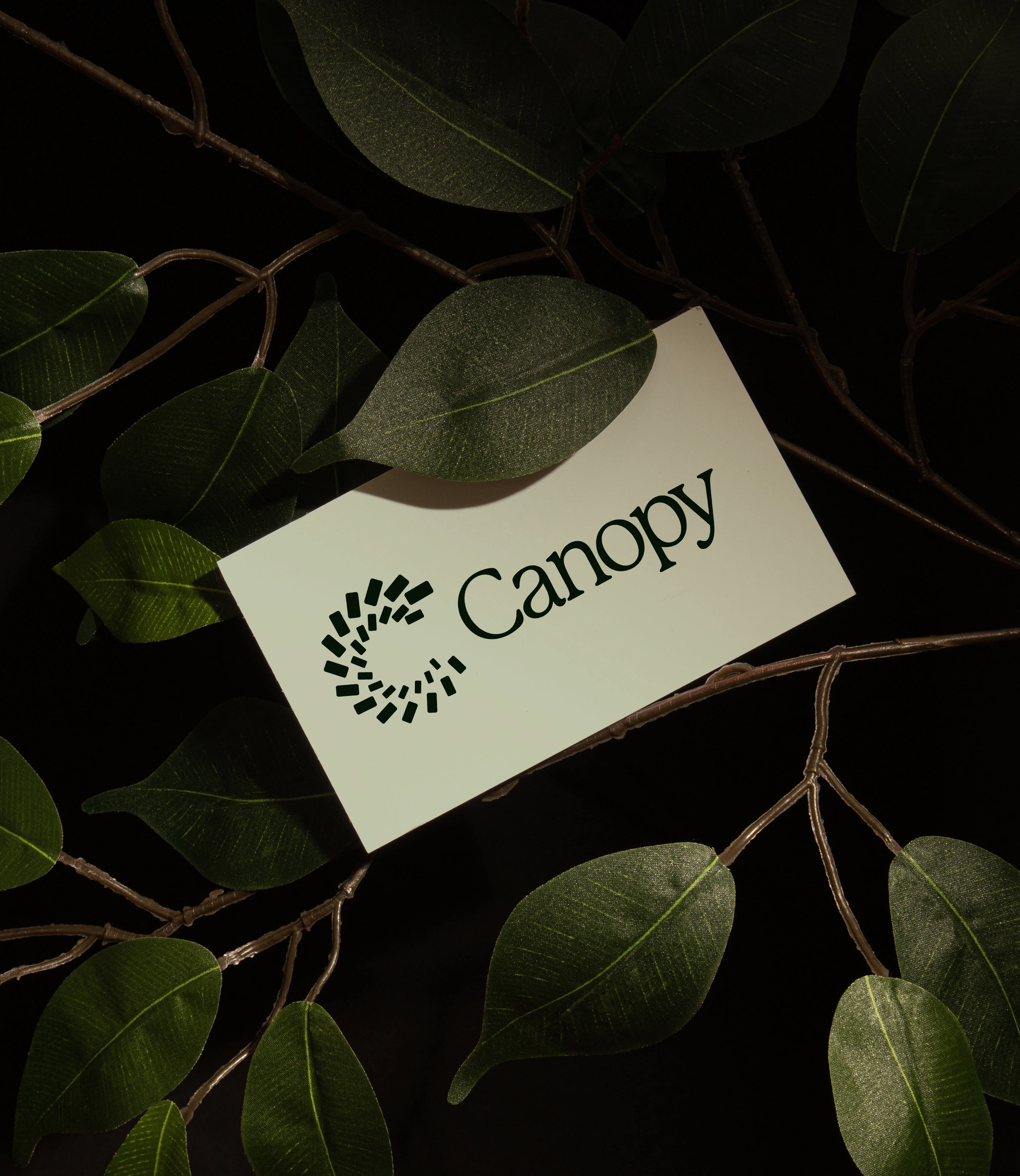Image 4: Canopy brand identity design by &Walsh