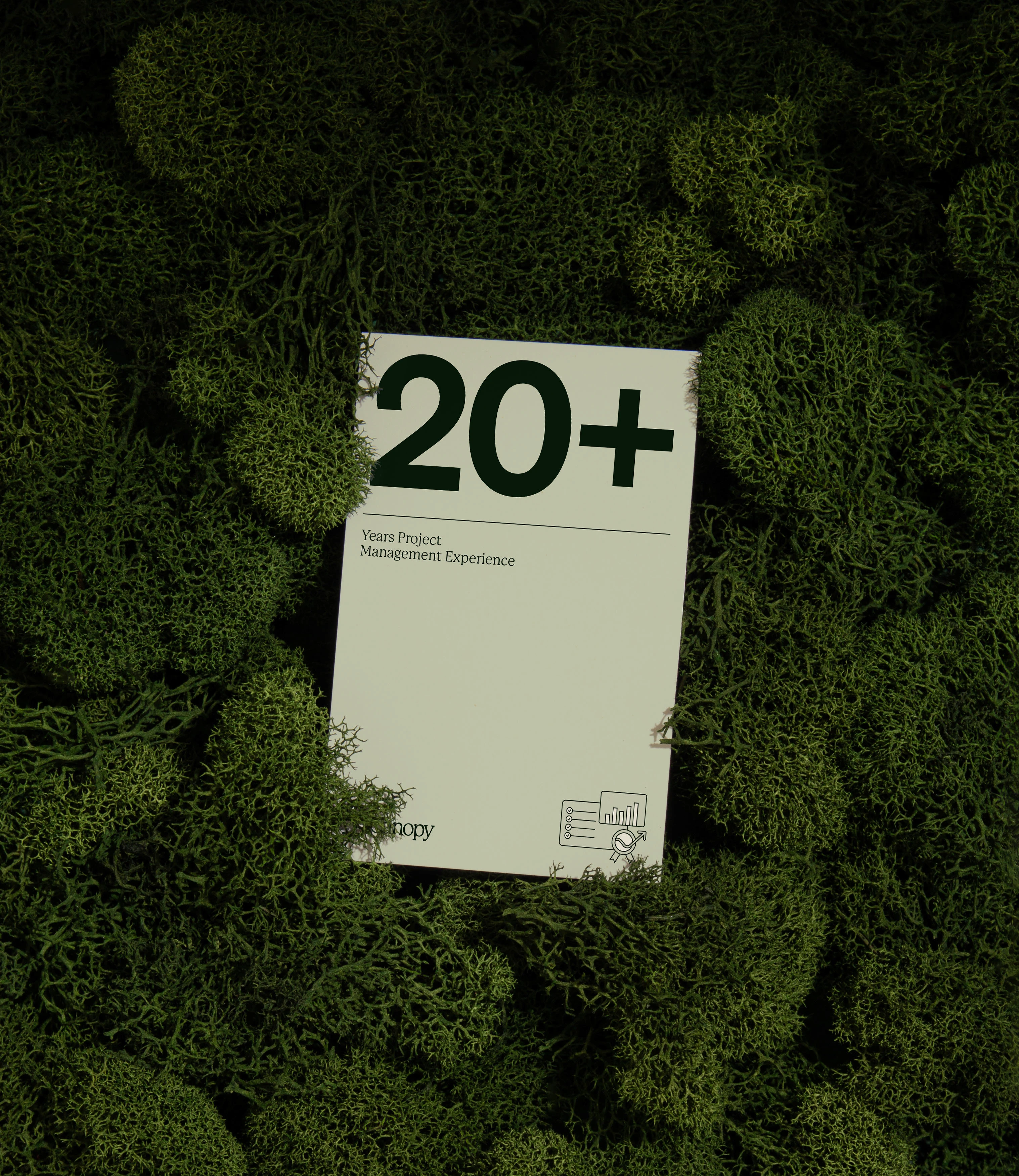 Image 5: Canopy brand identity design by &Walsh