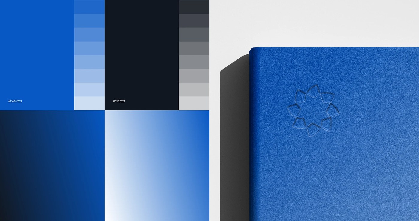 Image 5: educational brand identity color system