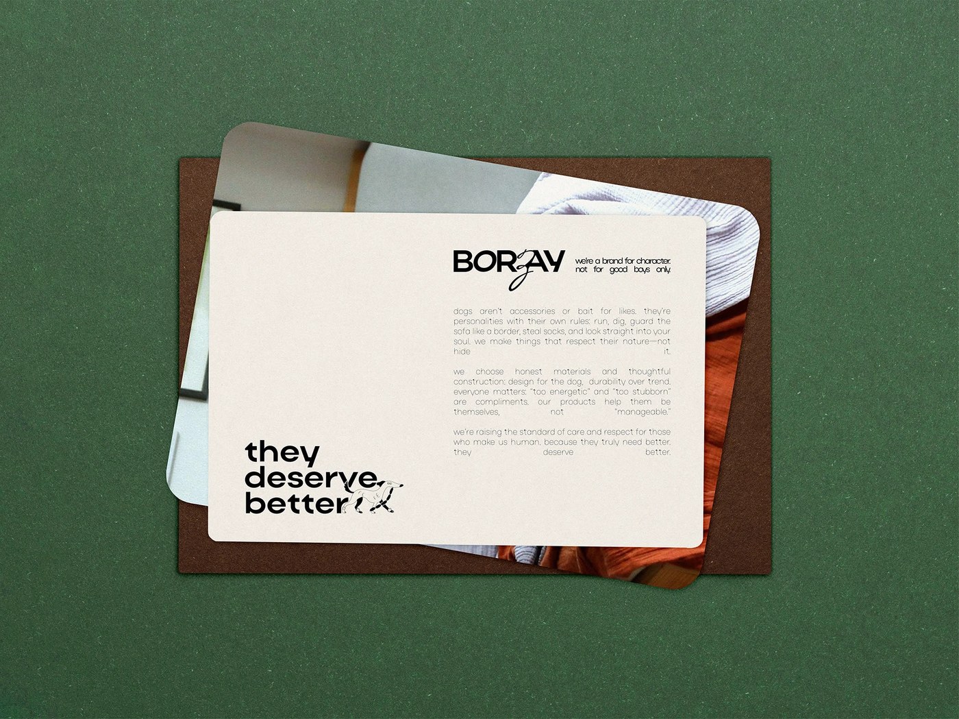 Image 3: Borzay visual identity and packaging design by Yulia Noten