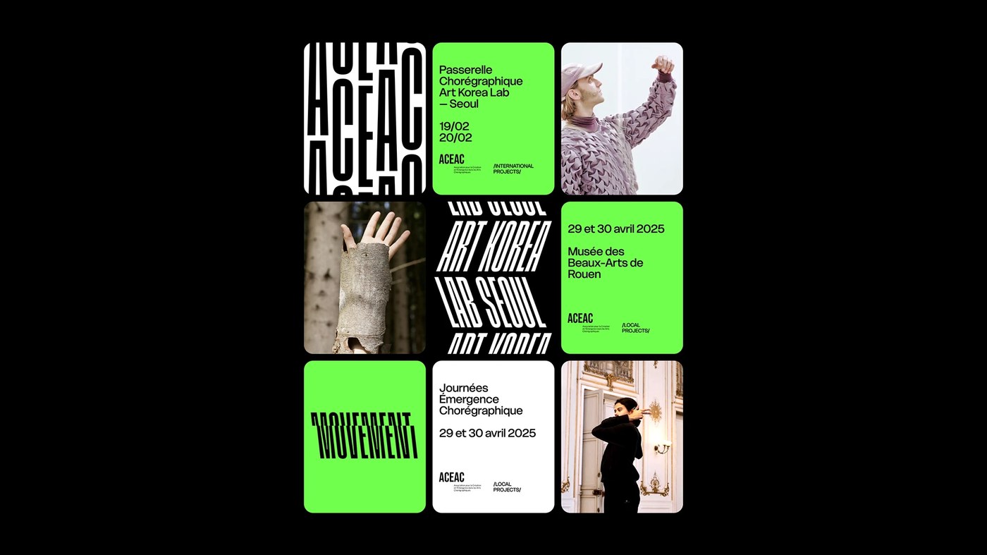 Image 8: cultural festival identity dynamic poster series