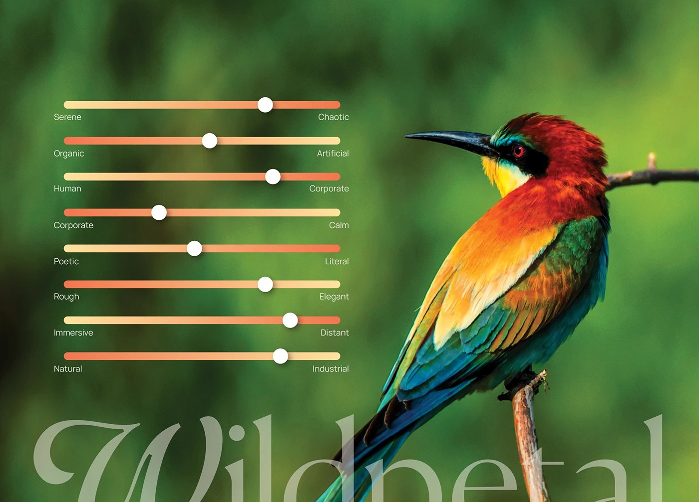 Image 4: Wildpetals collectible bird cards design — brand identity design by Joshua Oladele