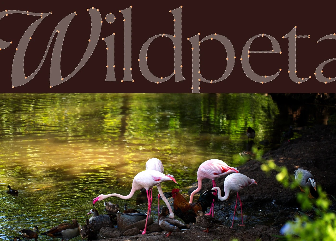 Image 8: Wildpetals branded merchandise and environmental graphics — brand identity design by Joshua Oladele