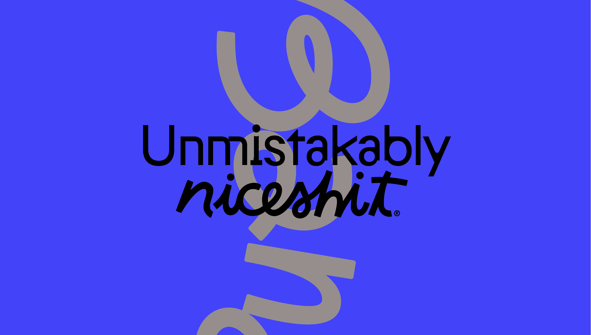 Image 3: Type lockup reading Unmistakably niceshit on a blue background.