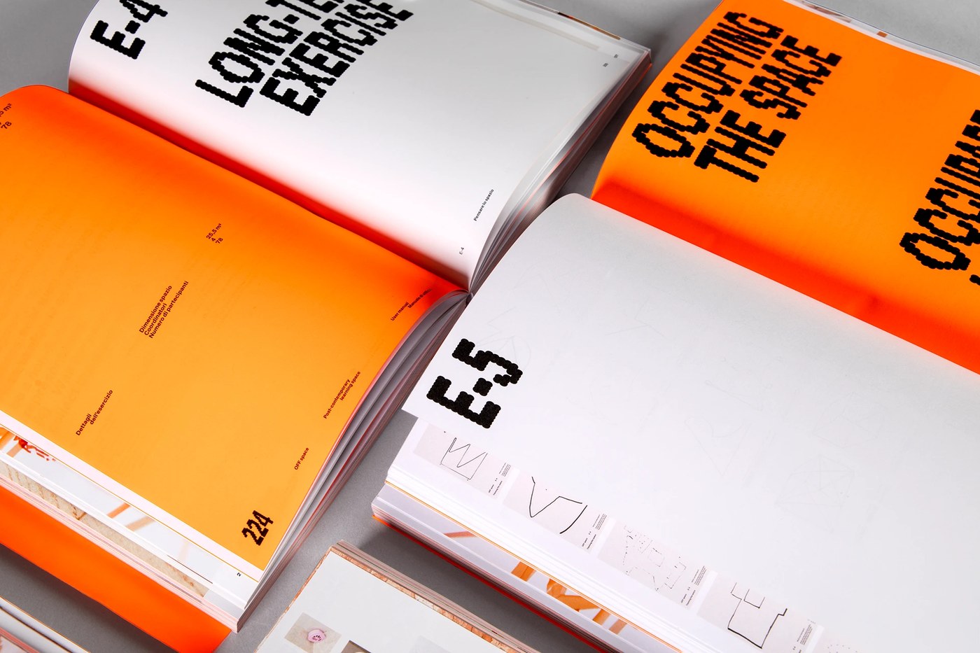 Image 6: Book pages detailing the editorial design grid system alignment.