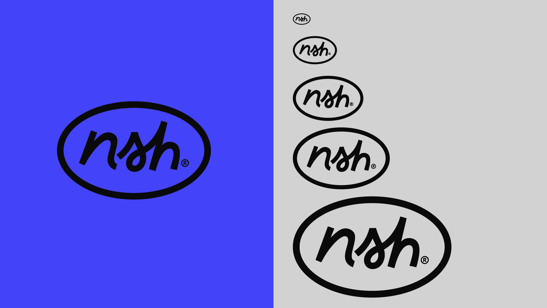 Image 2: The abbreviated nsh oval mark displayed at a range of sizes.