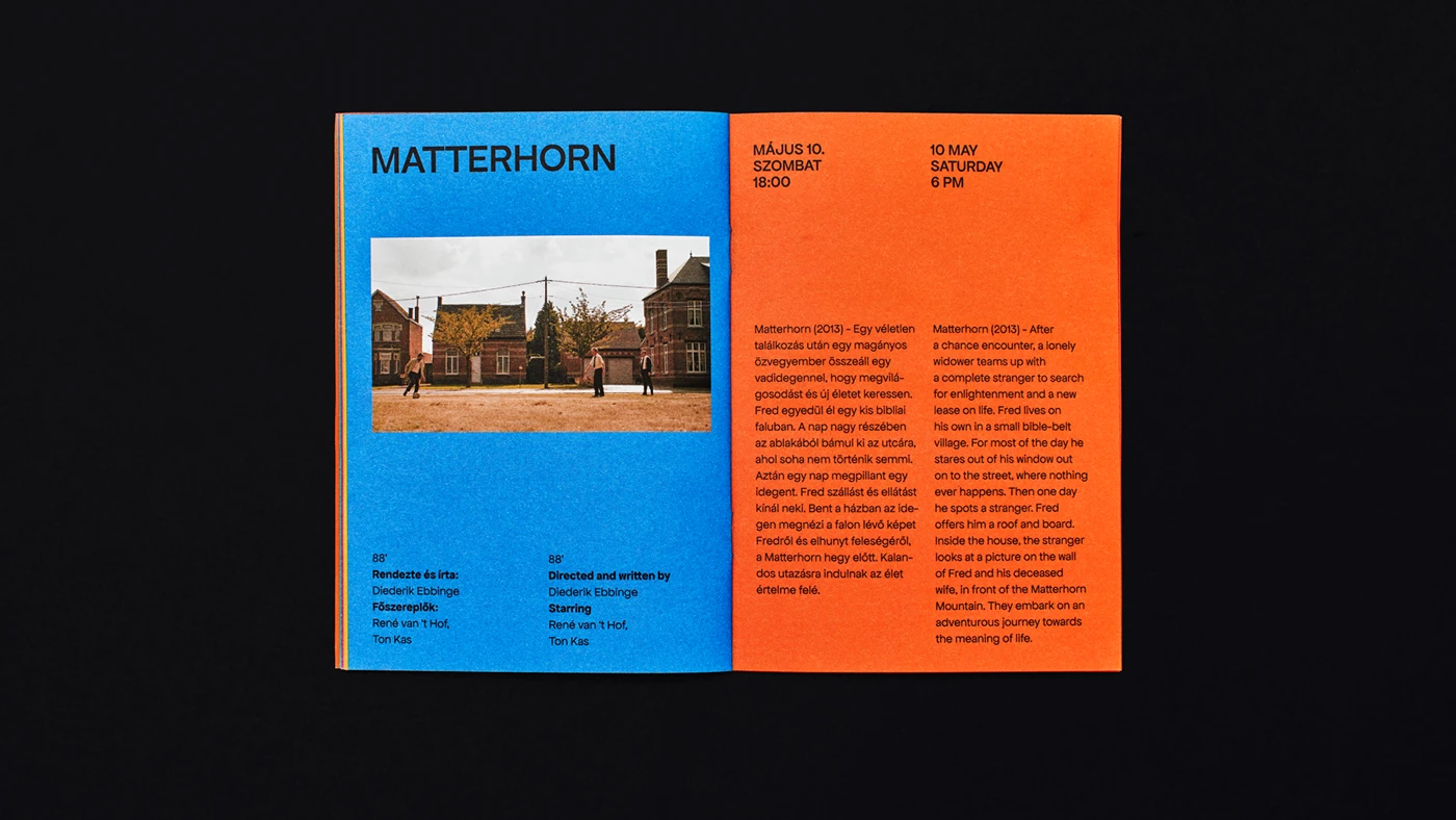 Image 5: Overview of the full identity system showing poster, card, and signage applications — Dutch Film Days festival branding