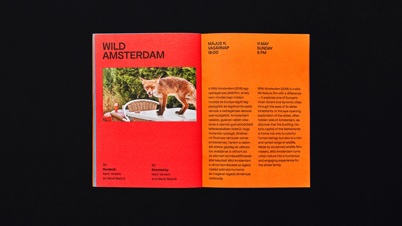 Image 2: Festival signage with color-block day identifiers and minimal sans-serif typography — Dutch Film Days festival branding