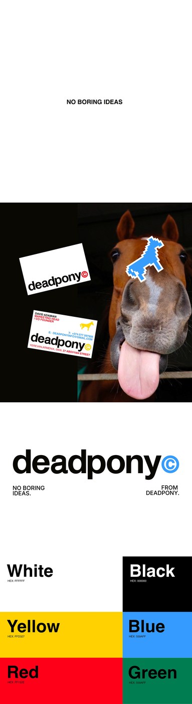 Image 1: Deadpony Studio brand identity design hero shot by Anna Matevosian