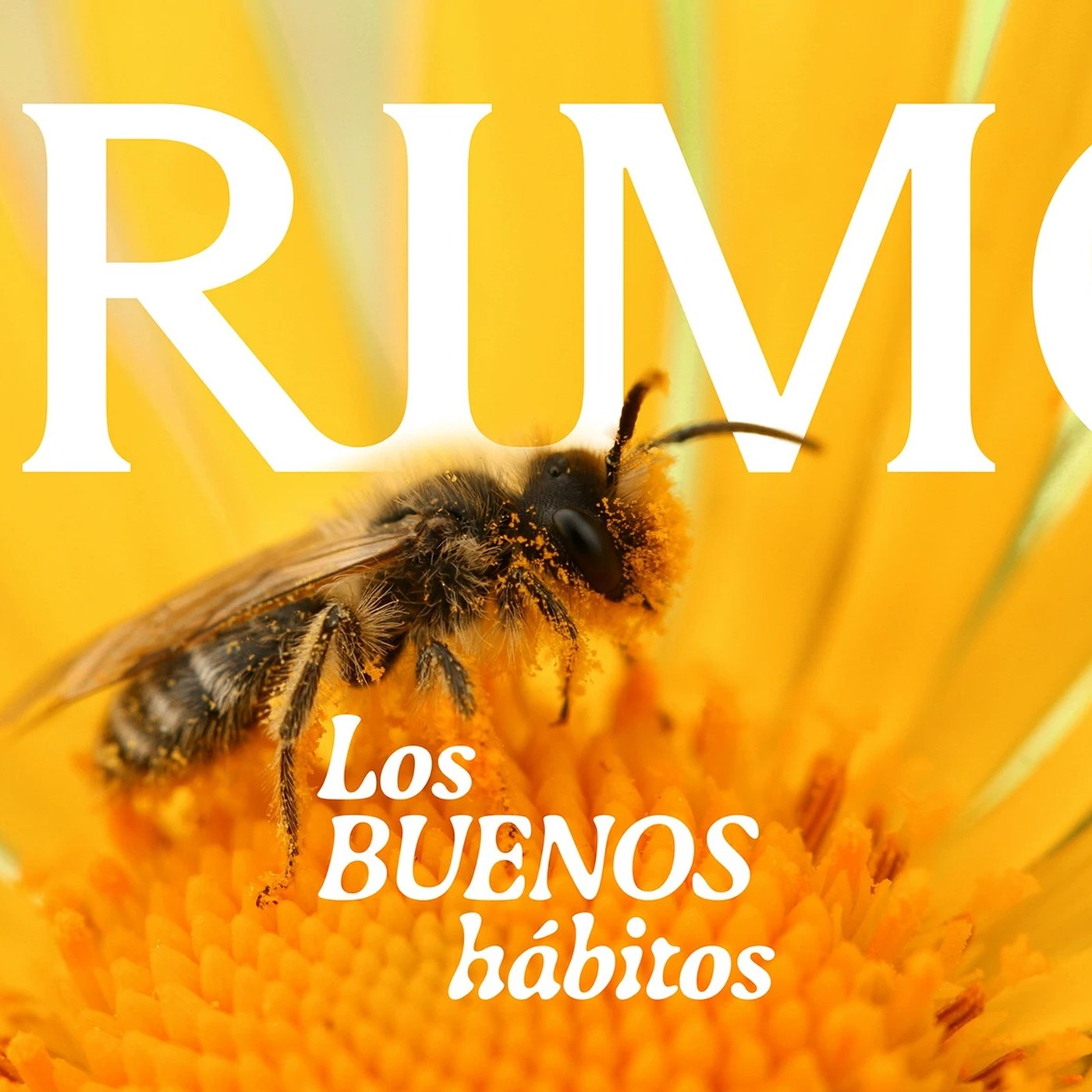 Image 9: Primo Honey | Packaging Design by Brandsummit Studio