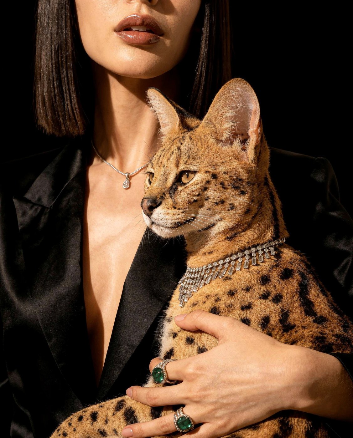 Image 5: Savene jewelry brand identity showcasing creative directional photography with cat
