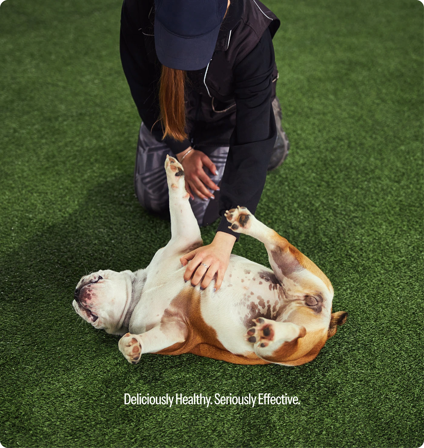 Image 4: Woofable branding color system design