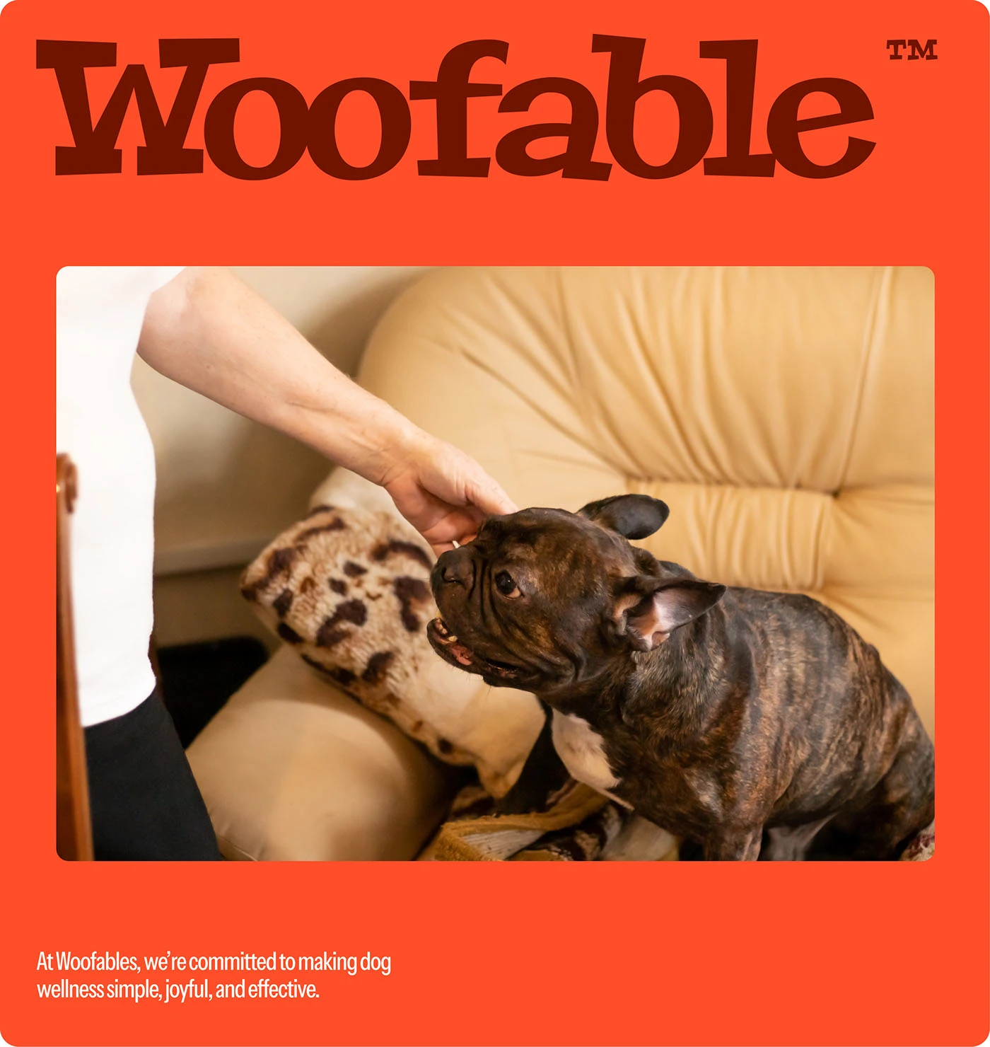 Image 3: Woofable branding identity typography details