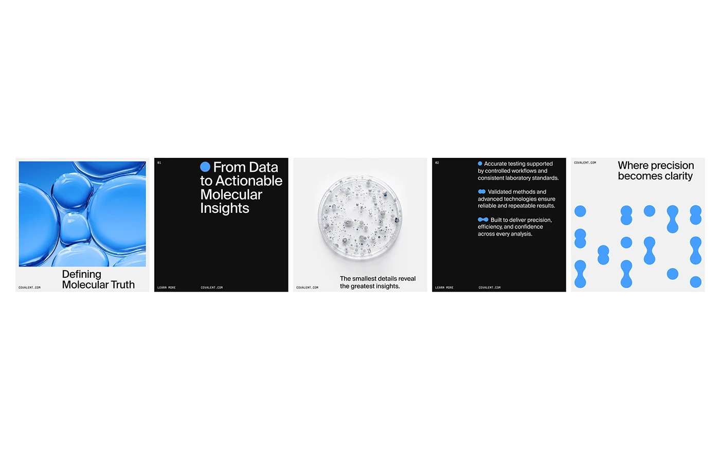 Covalent branding design asset detail 2