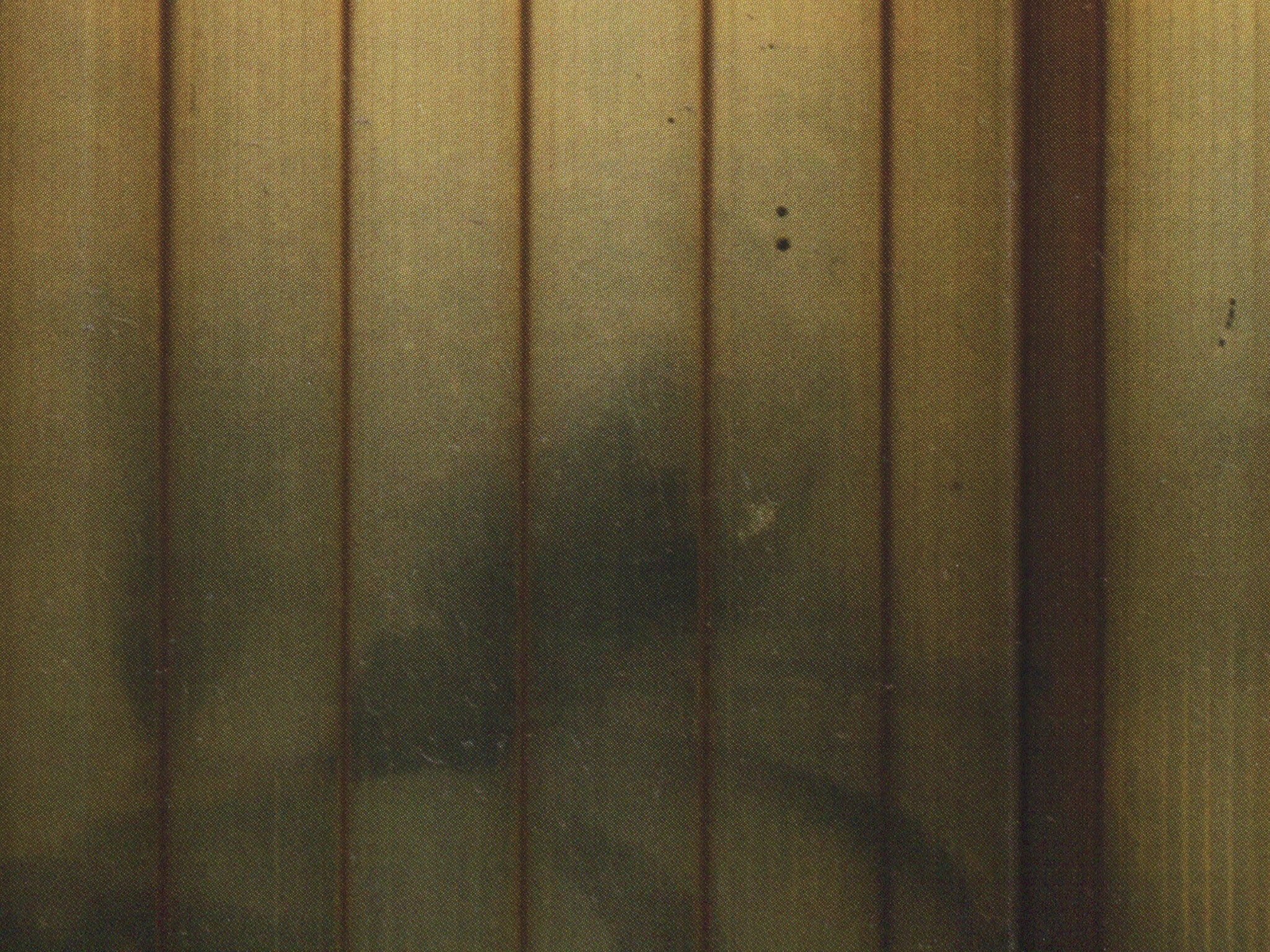 Image 16