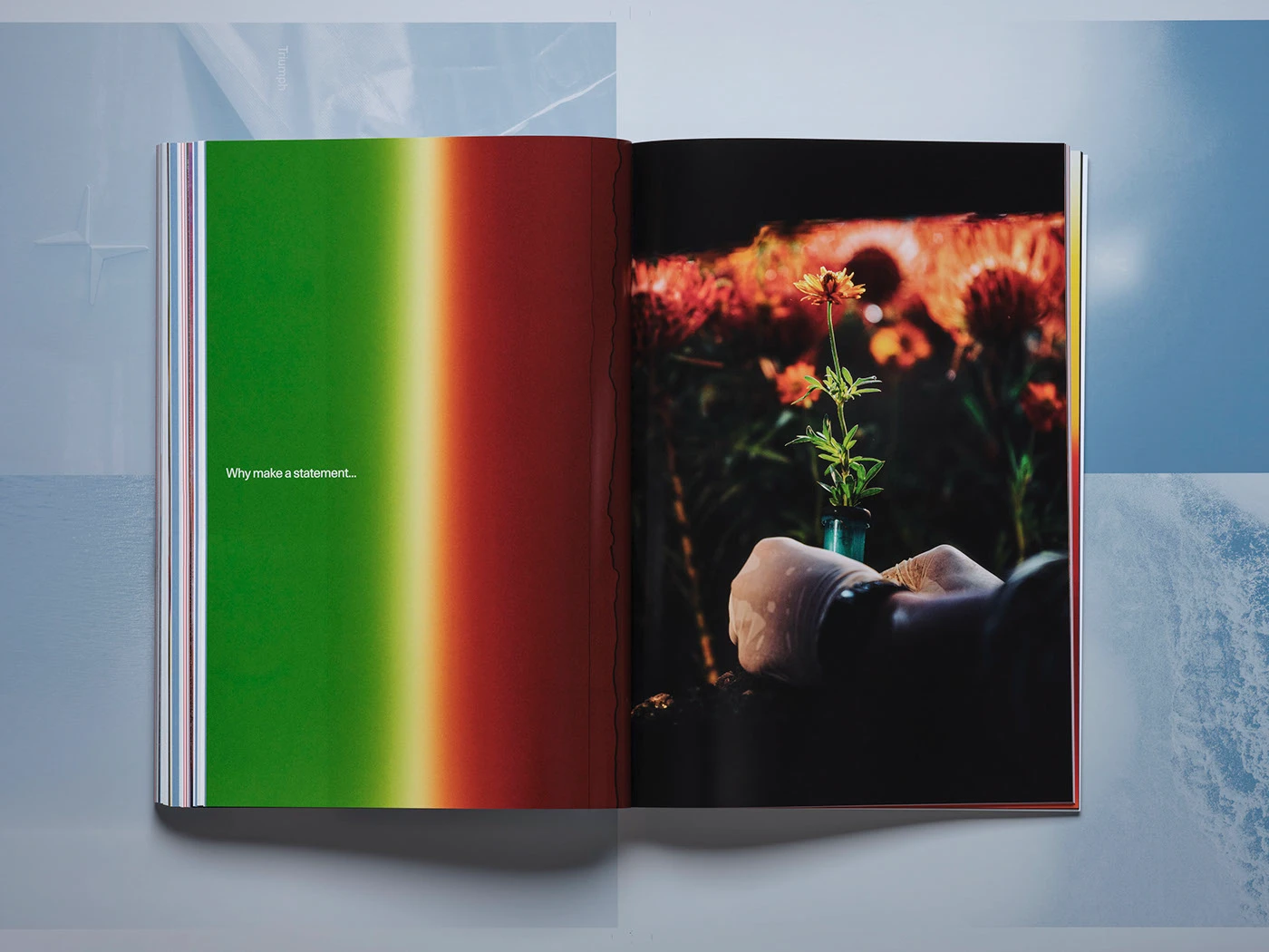 Image 5: book book design editorial Layout print InDesign editorial design book cover books cover