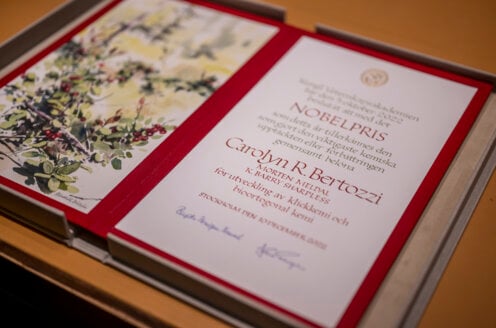Photo of a diploma