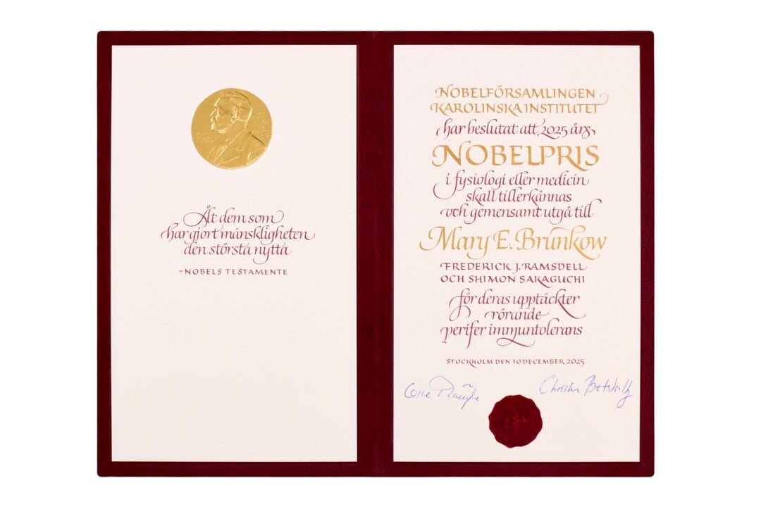 Mary E. Brunkow's Nobel Prize diploma