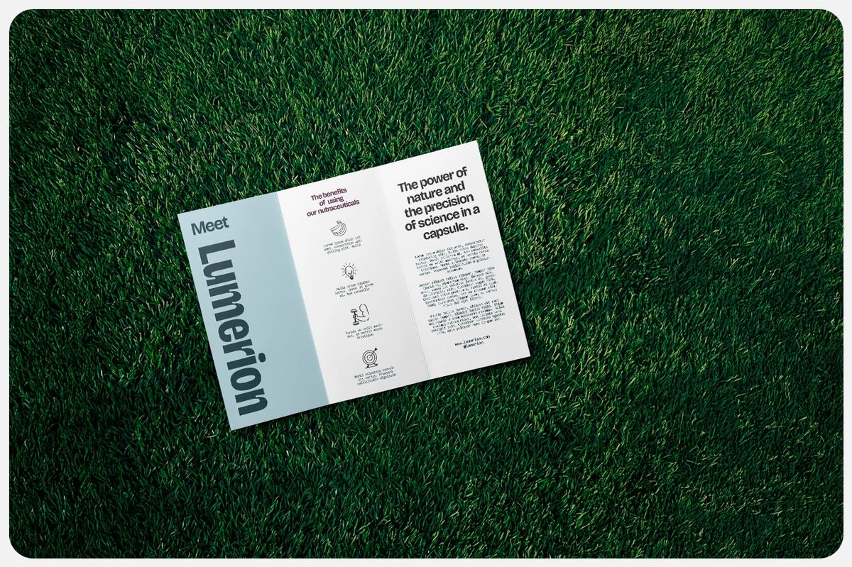 Image 8: Lumerion branding mobile app UI mockup