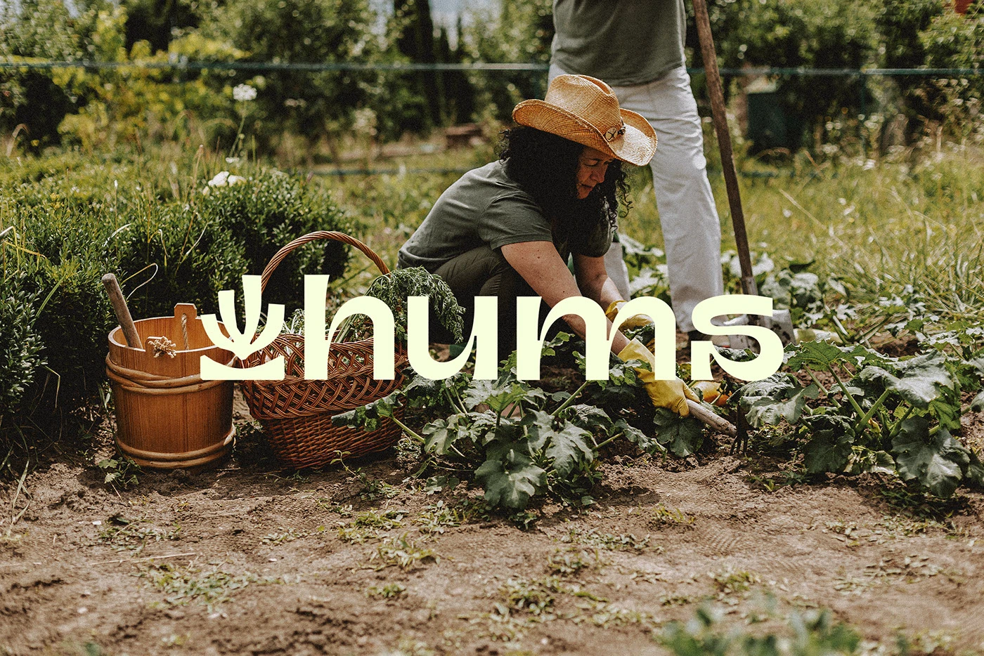 Image 3: Hums branding identity typography details