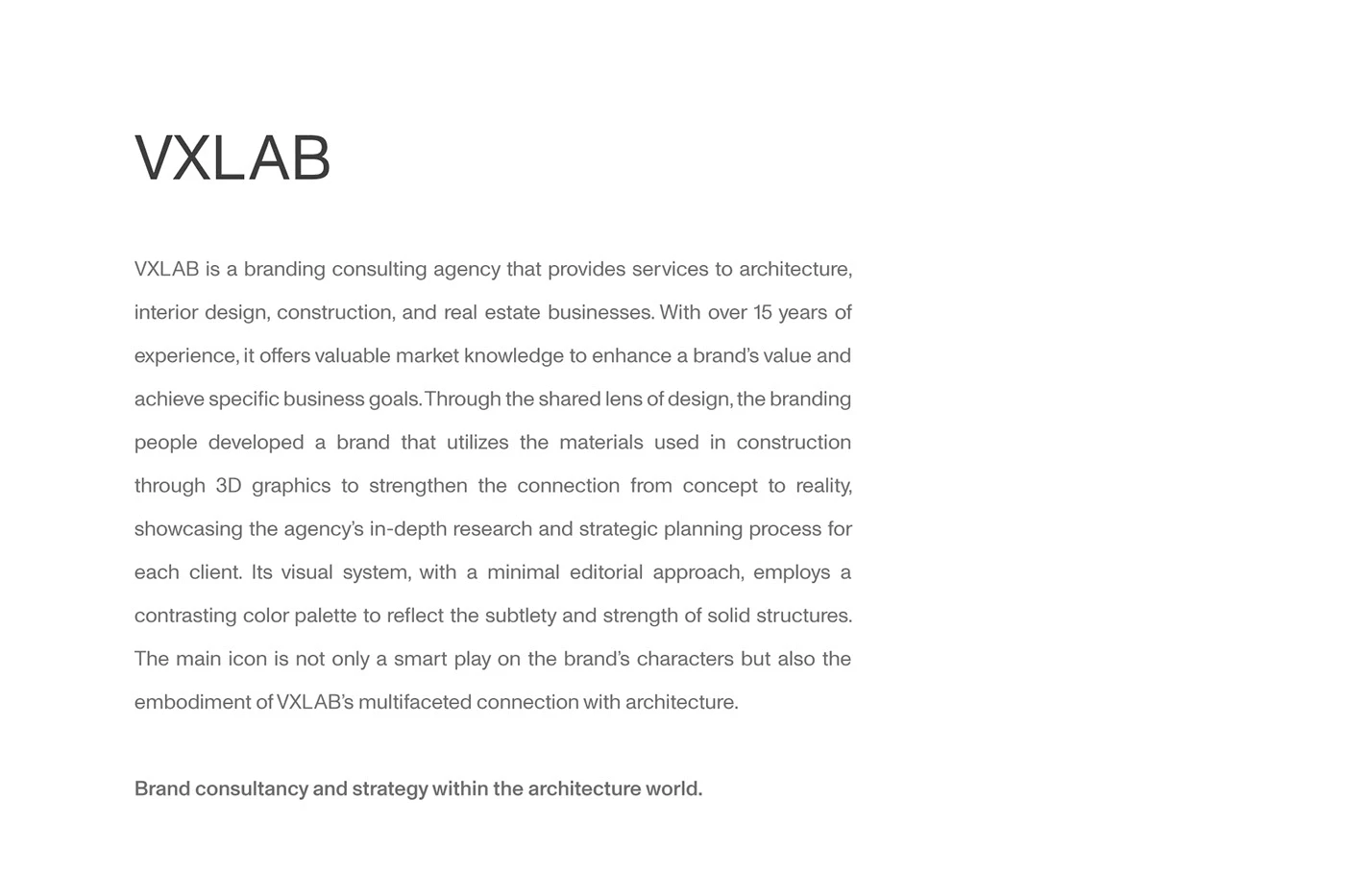 IImage 2: VXLAB brand design asset detail branding
