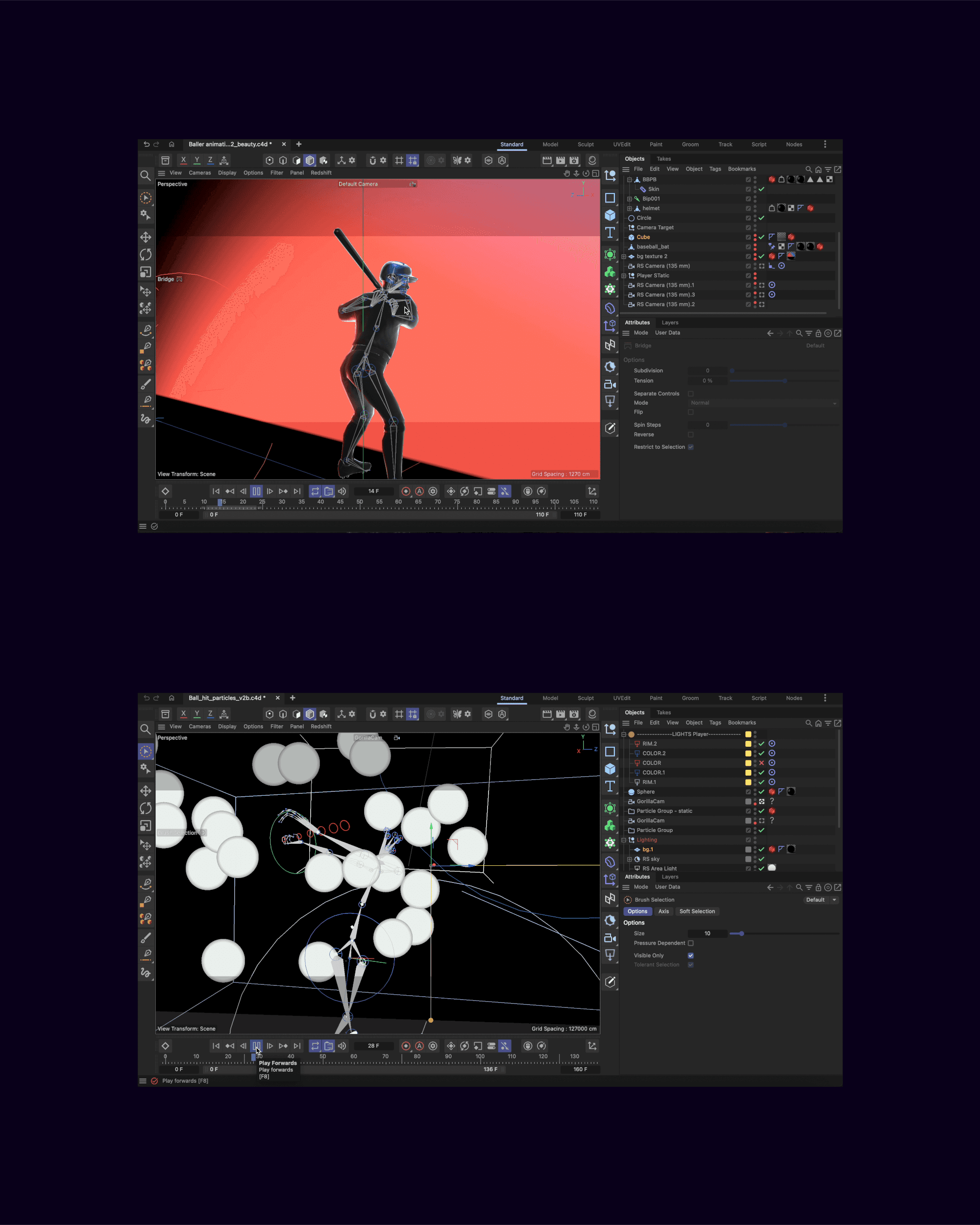 IImage 3