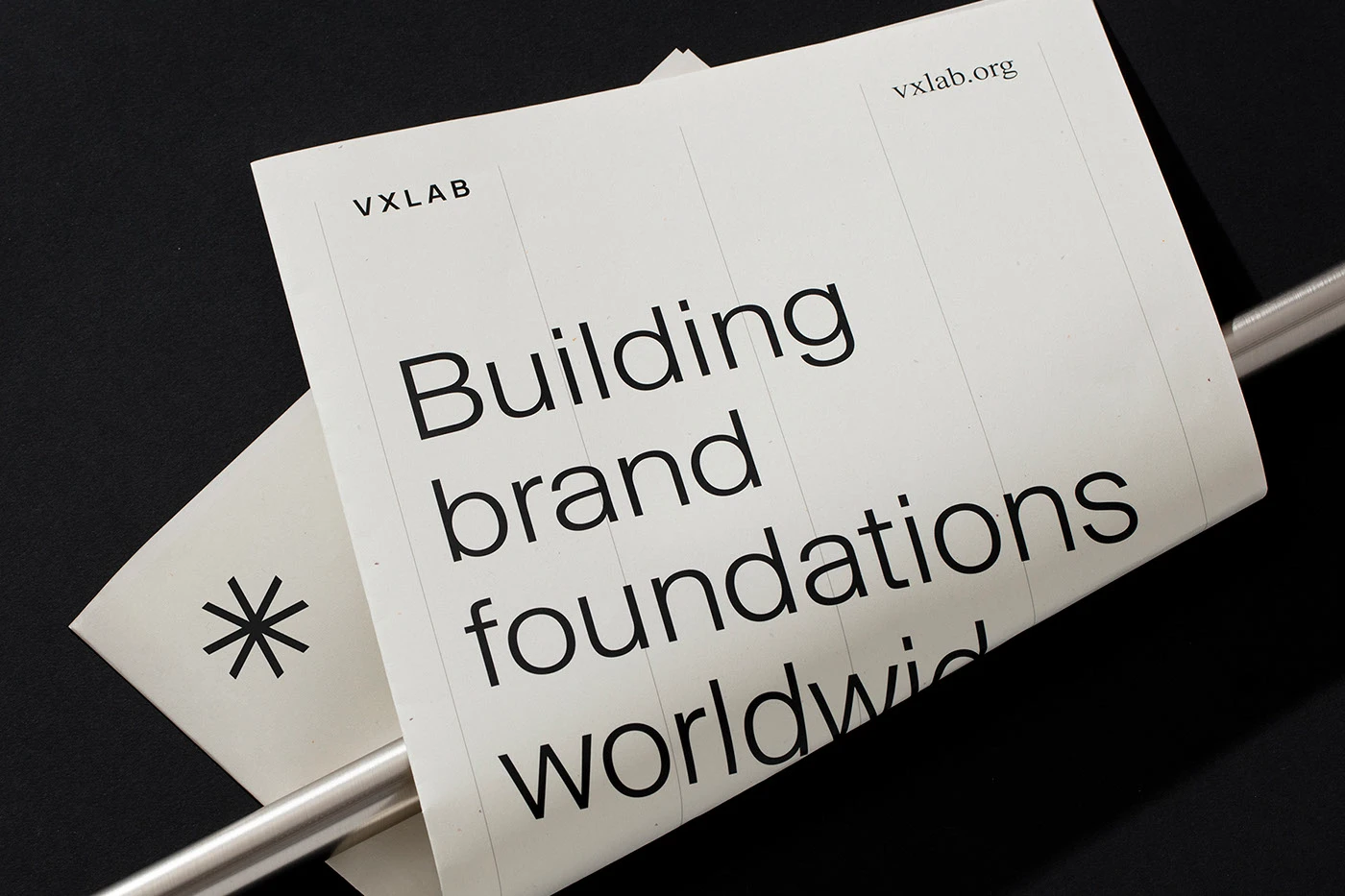 IImage 1: VXLAB hero packaging mockup branding