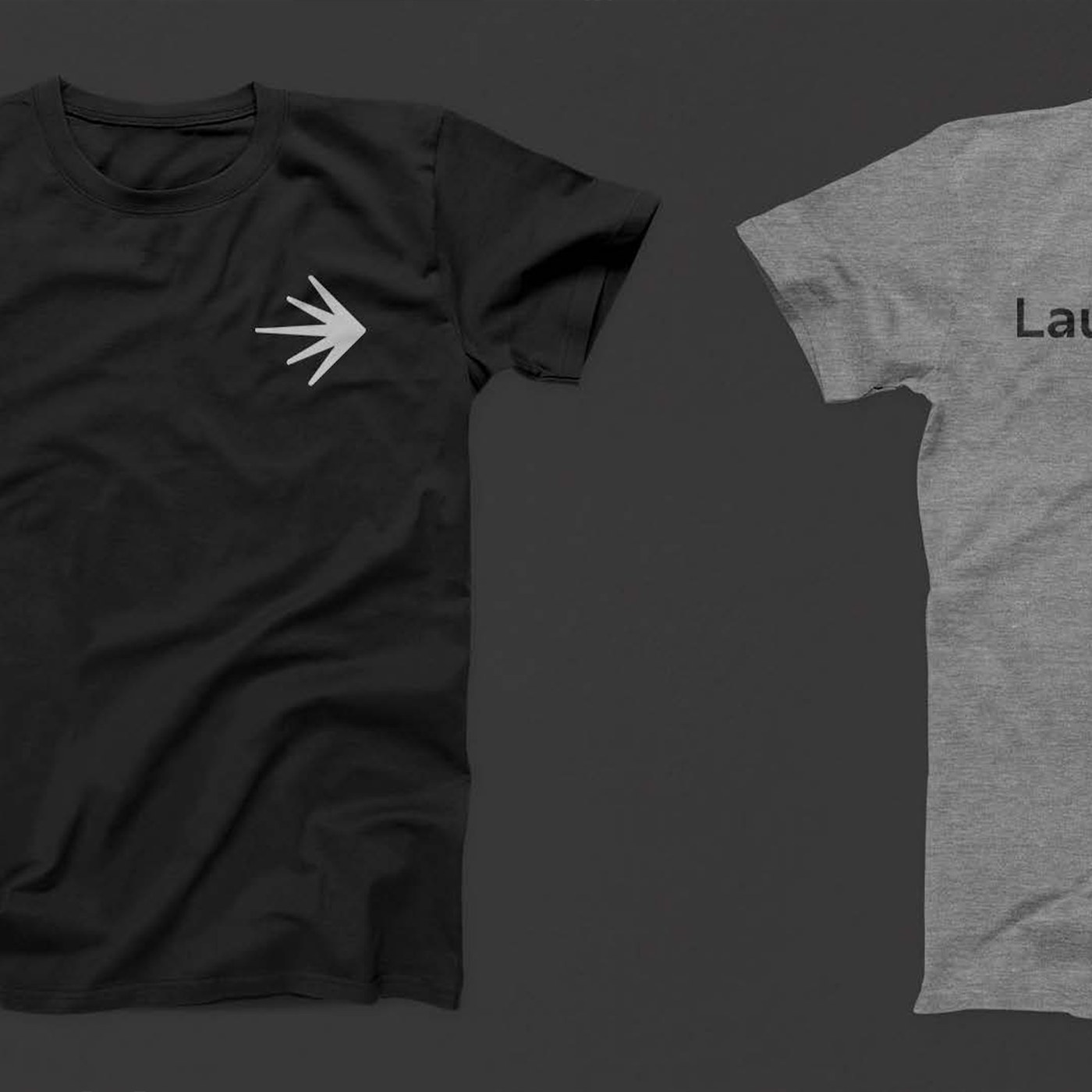 IImage 6: LaunchDarkly application detail — visual identity by Focus Lab