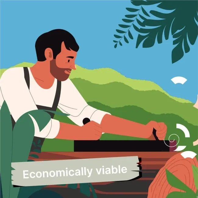 Simplifying FSC Principles Through Motion Design - Image 14