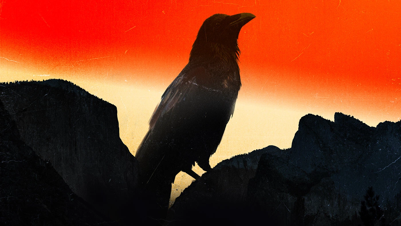 Image 38: titlesequence motiongraphics aftereffects animation credits design motion design 2D Animation
