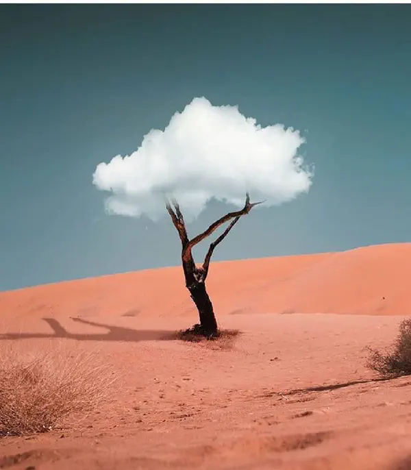 Image 42: cloud-tree.jpg