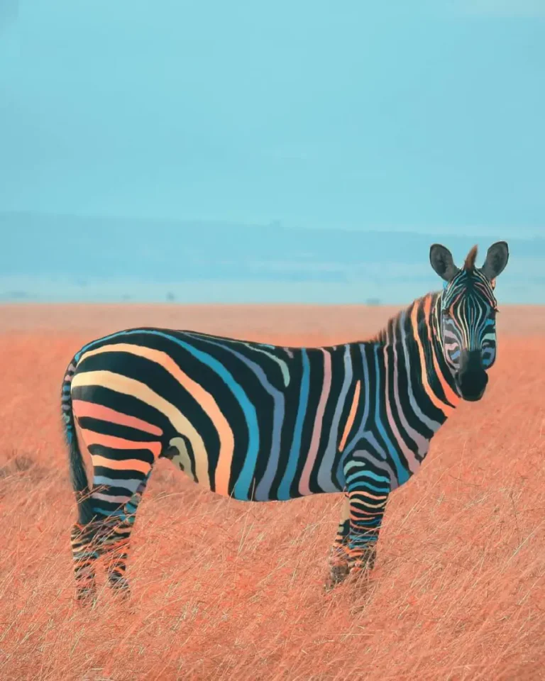 - Image 38: changing-the-zebras-stripes.jpg