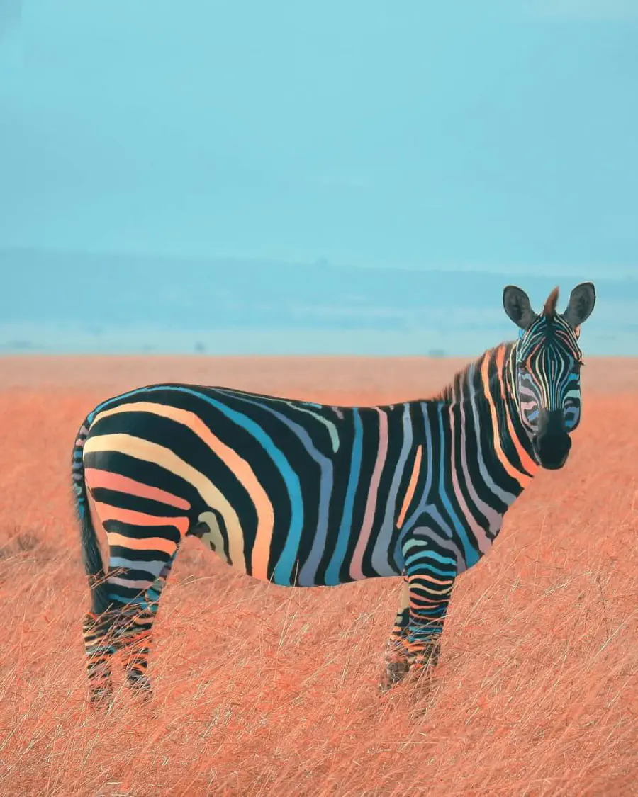 Graphic Art Inspo #10: A Creative Pit Stop