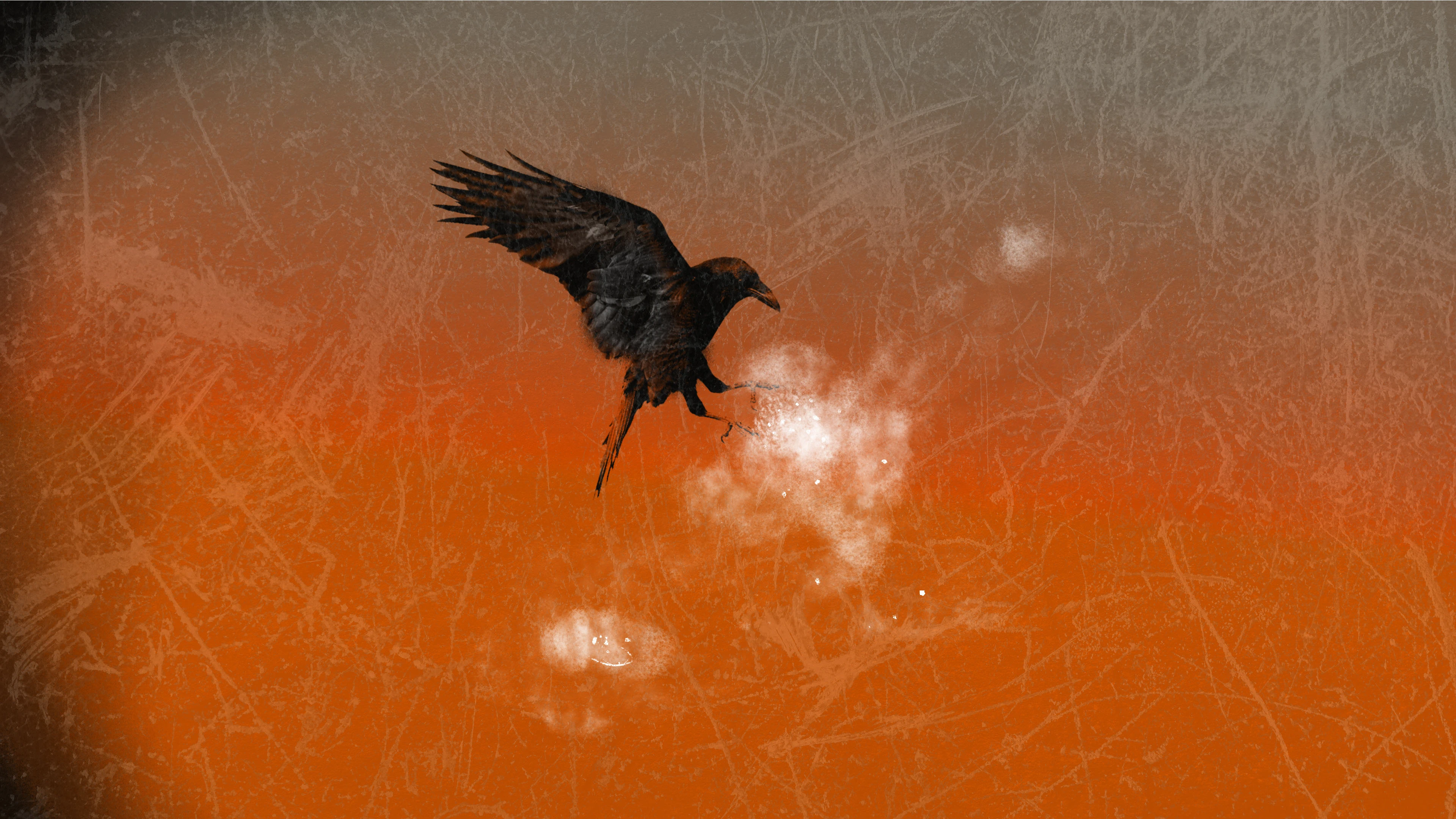 Image 37