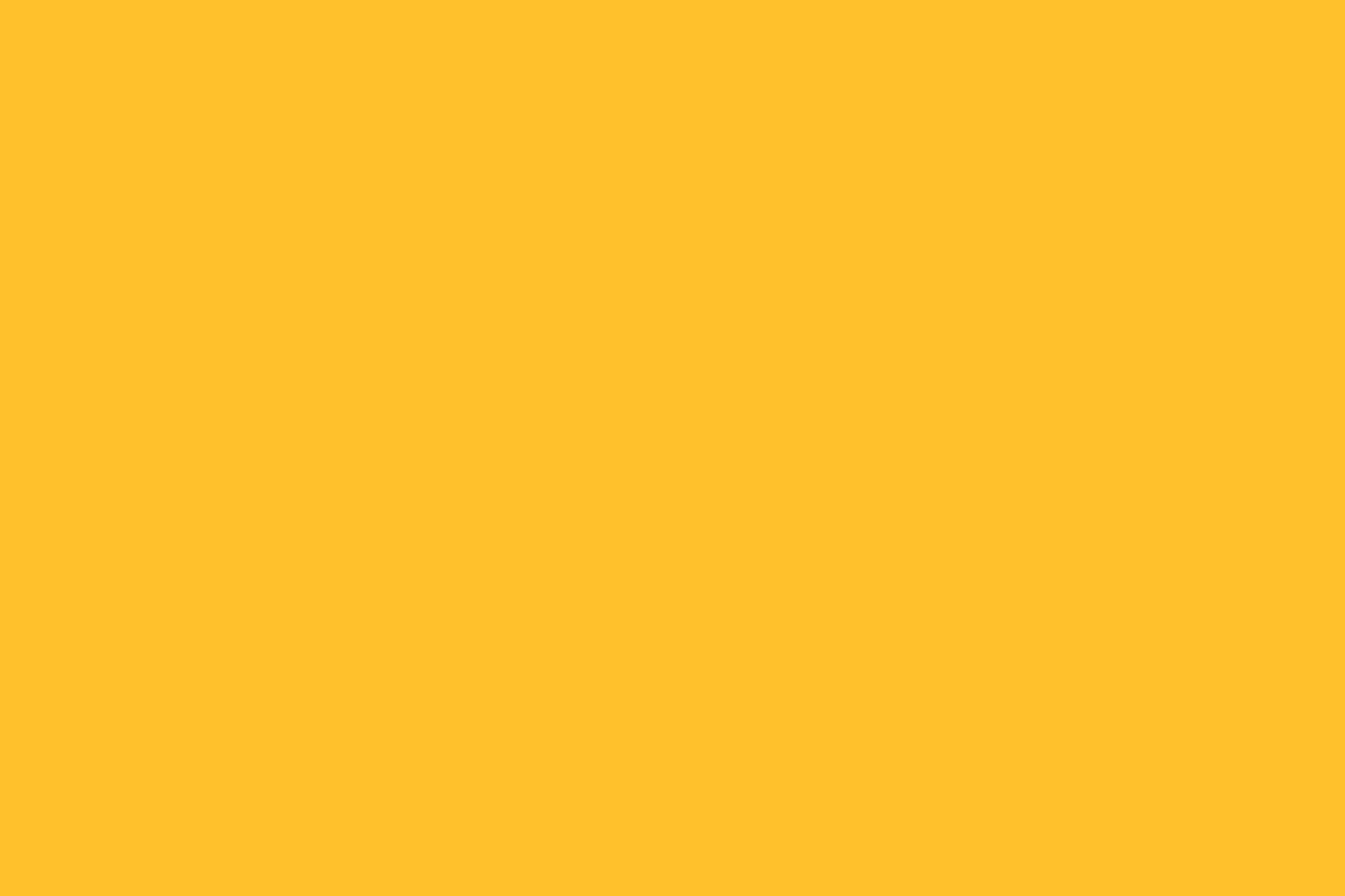 Image 6: Petbarn branding motion graphic animation 6
