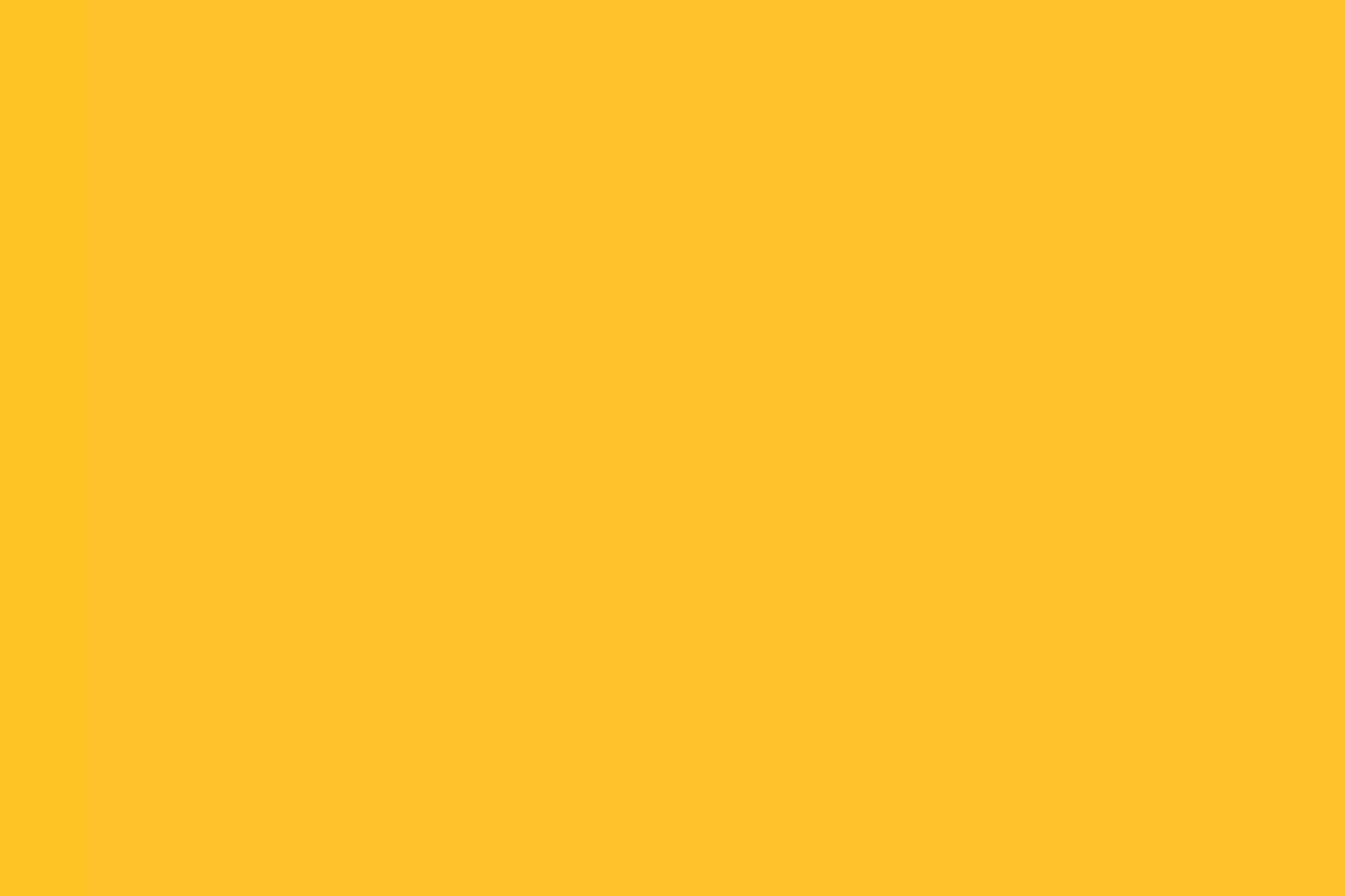 Image 9: Petbarn branding motion graphic animation 10