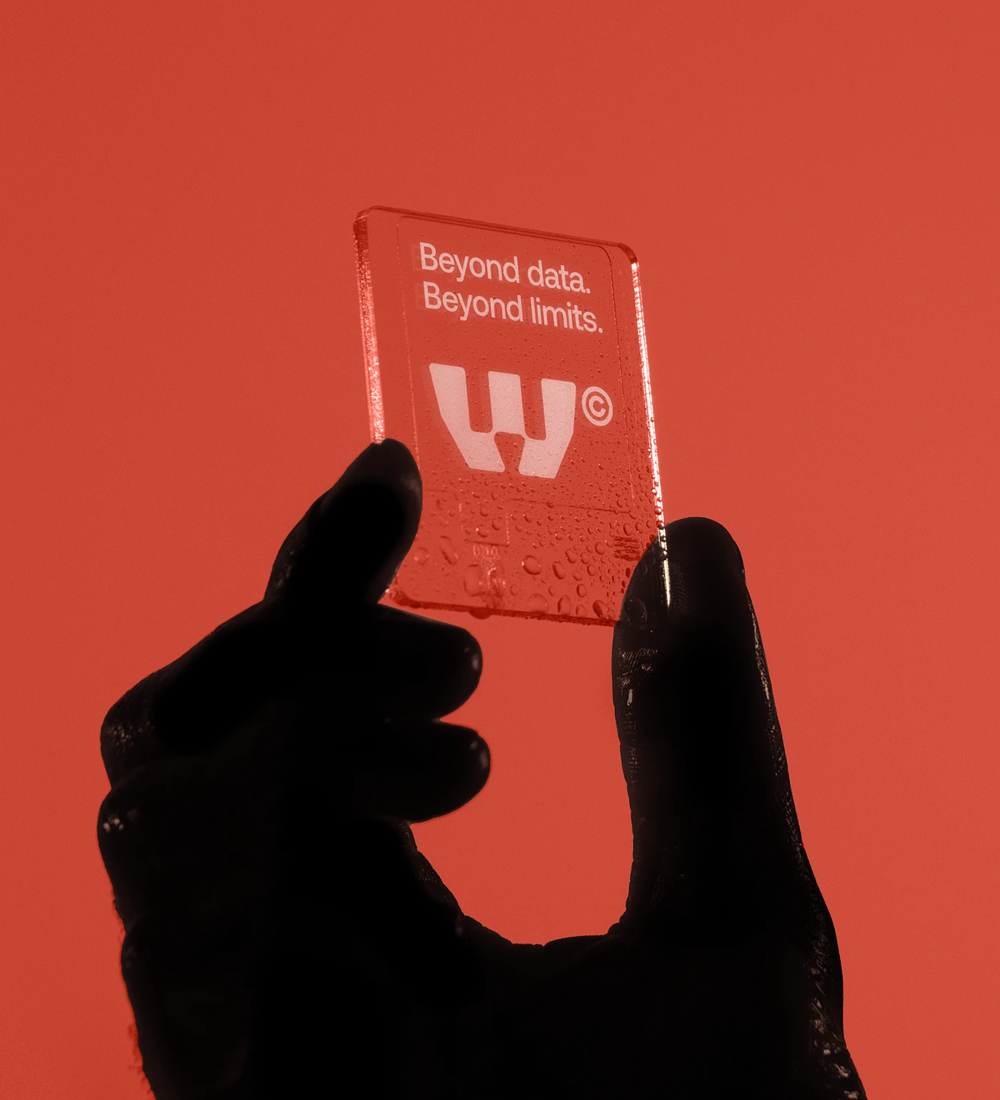 Image 11: WORM branding identity detail 10