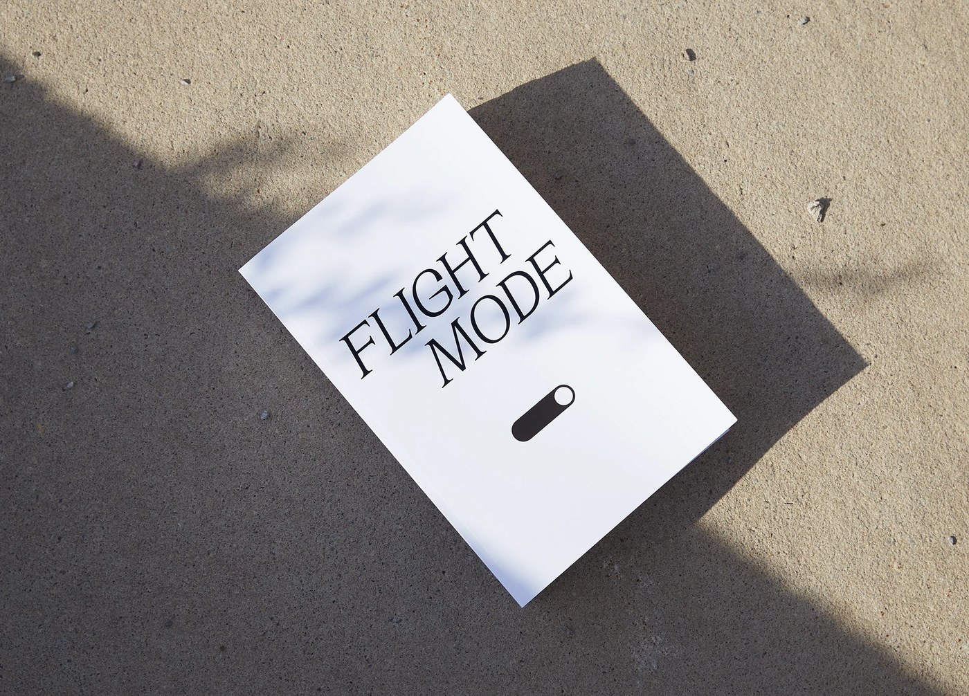 Image 5: flightmode exhibition identity catalogue heather lynn billyclub outdoor wayfinding environmental graphics