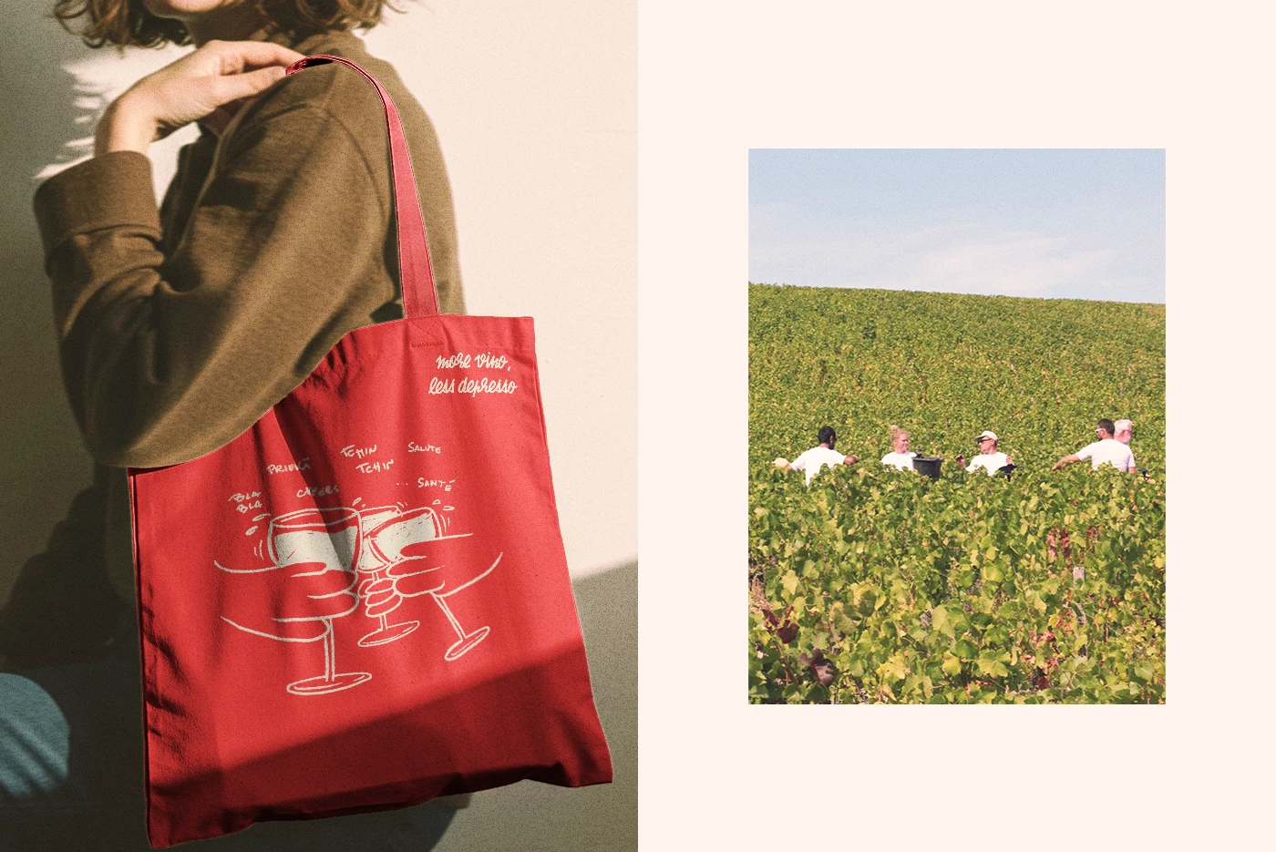 Image 17: branding merchandising brand identity vendanges wine grape harvest vin