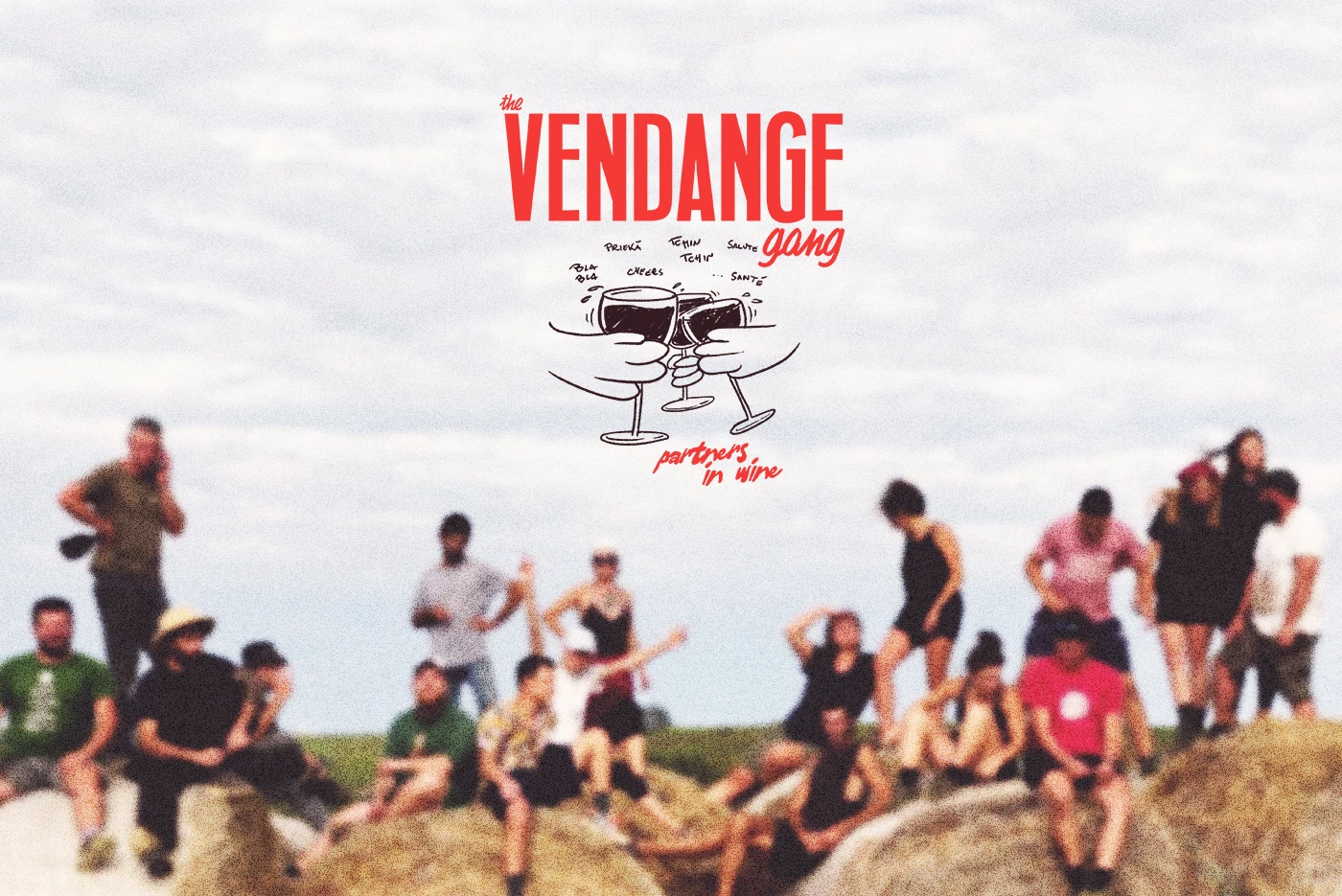 Image 6: branding merchandising brand identity vendanges wine grape harvest vin