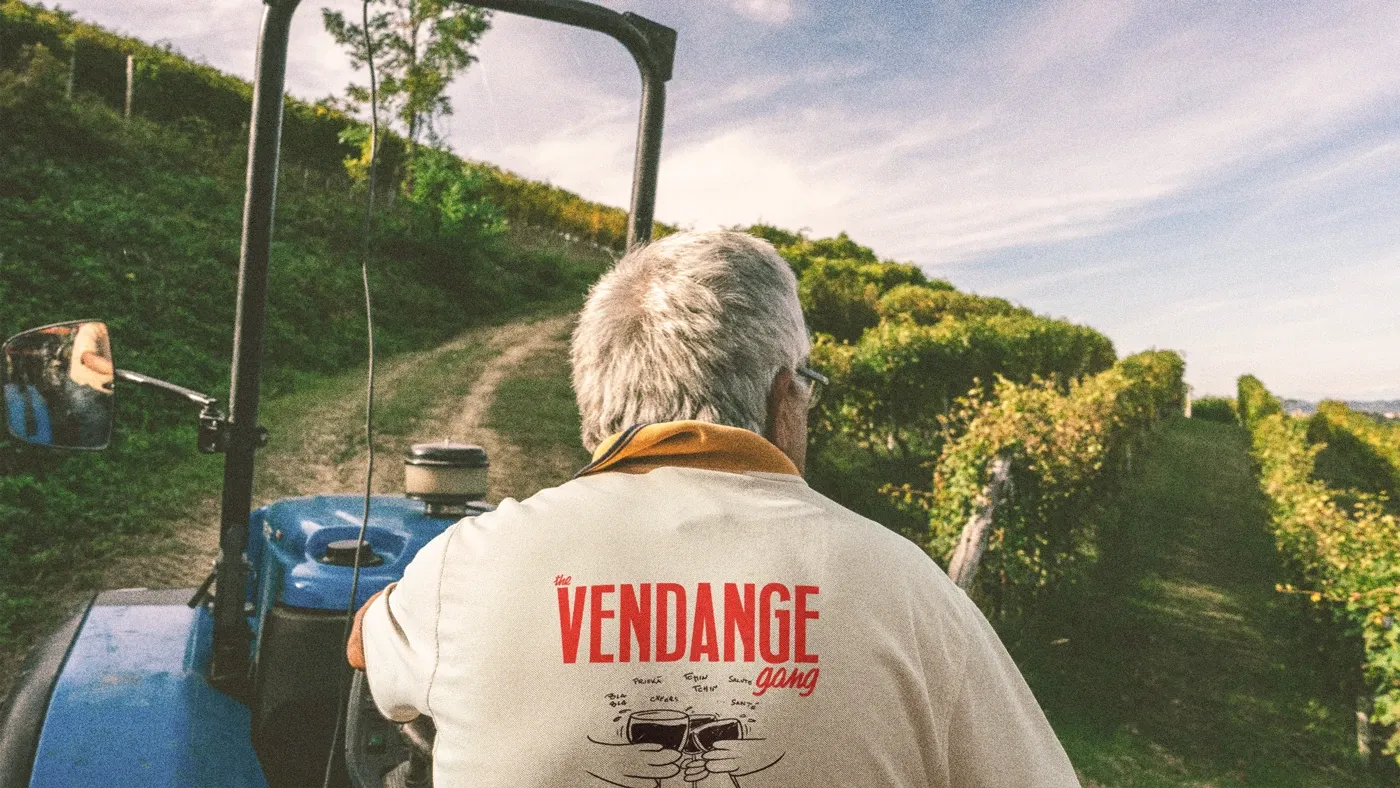 The Vendange Gang — A Lively Branding and Visual Identity for a Wine Harvest Crew