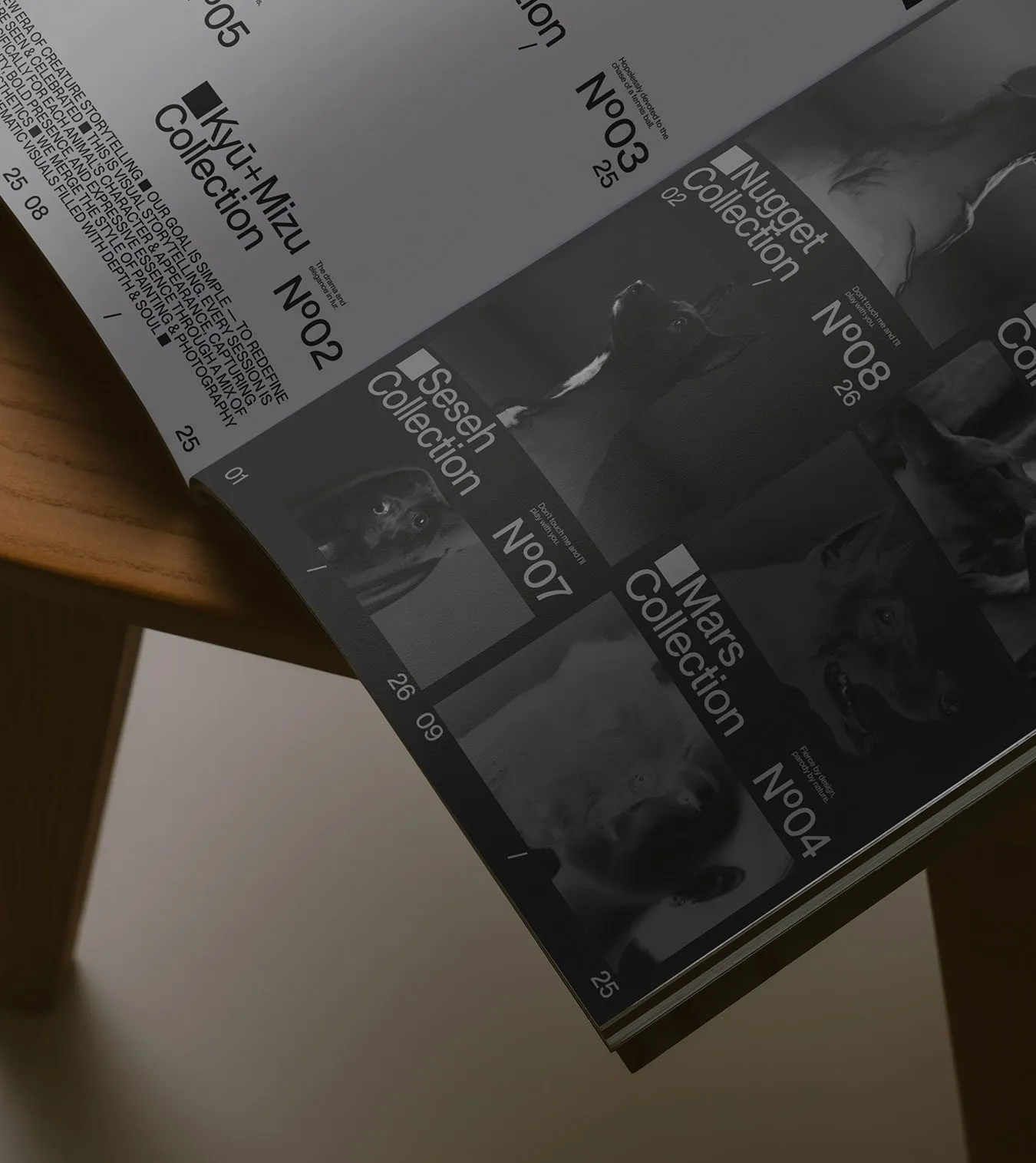 Image 2: Unleash pet storytelling branding editorial publication brochure grid on wooden chair