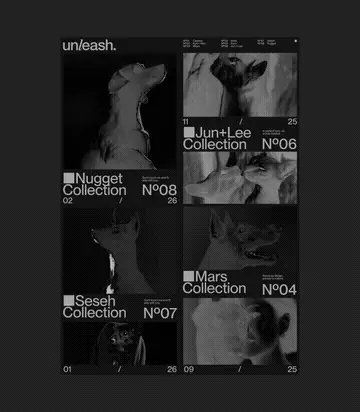 Image 9: Unleash pet storytelling branding animated typography index numbers motion loop