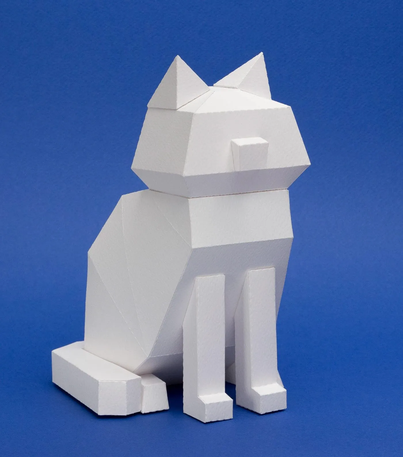 Image 5: Kitten Paper Kits untextured white paper prototype design on cobalt blue backdrop