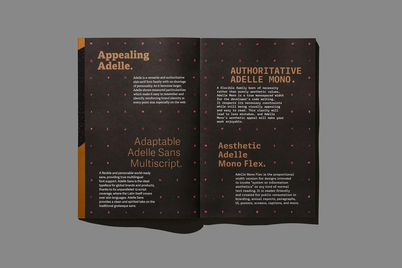 Image 3: Multi-script layout grid detail — typography design by Tereza Bettinardi